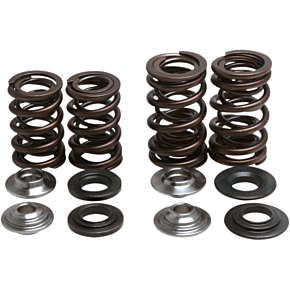 Valve Spring Kit 30-30720