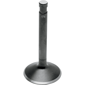 Exhaust Valve - Big Twin 20-4102