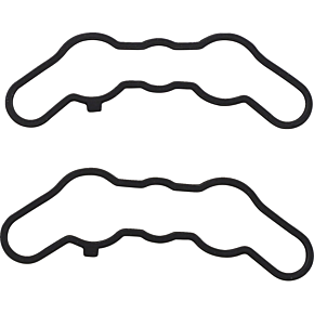 Exhaust Valve Gasket Kit - Polaris 719122