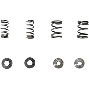 Valve Spring Kit 30-4021