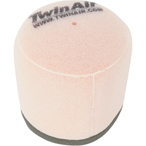 Replacement Backfire Filter 153911FR