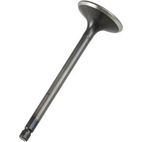Exhaust Valve 28.2661-1