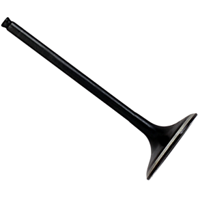 Exhaust Valve 60-60210H