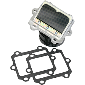 Rad Valve Reed Cage Assembly - Suzuki RAD24A