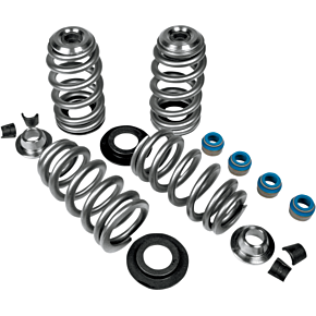 Beehive Valve Springs 1105