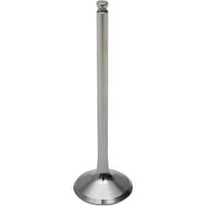 Exhaust Valve DW-YZ250F-EV14