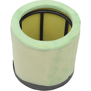 Air Filter & Cage 3010