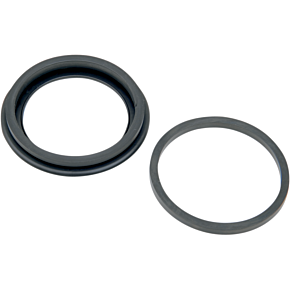 Rear Caliper Seal Kit - Dual Piston - 80-87 FL DS-530475