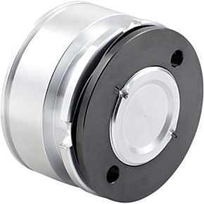 Rear Caliper Piston - FL DS-325314