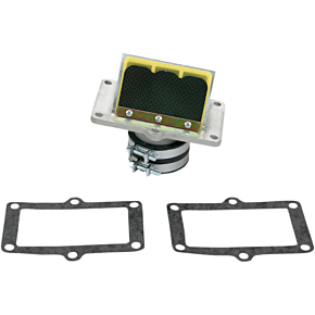 Rad Valve Reed Cage Assembly - KTM RAD43X
