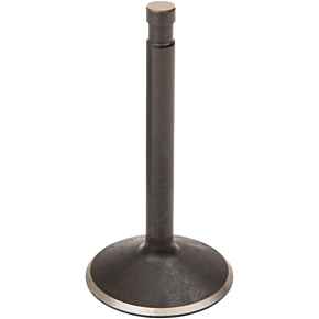 Intake Valve - Big Twin 20-4256