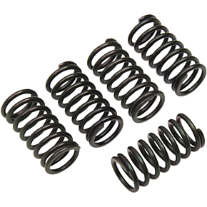 Clutch Spring Set 501-30-05003