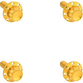 Bolt Kit - Windshield - Titanium - 12-Point - Gold 300-841