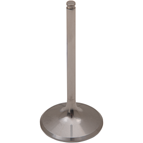 Del West Intake Valve DW-CRF450R-IV09