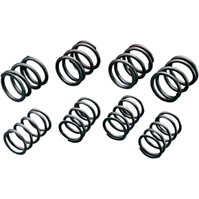 High-Lift Valve Springs 272110