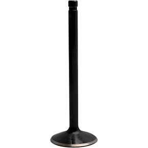 Kibblewhite Exhaust Valve 20-20920