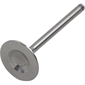 Exhaust Valve DW-KX450F-EV09