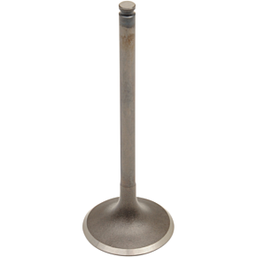 Intake Valve 28.6520-2