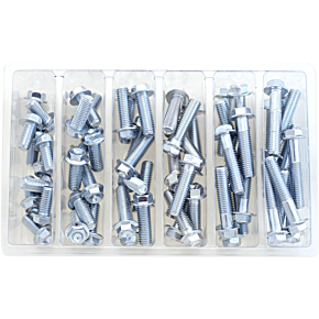 Bolt Assortment - Flange SV-M8HEXF