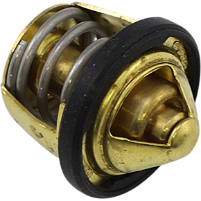 ALL BALLS Thermostat - Polaris 16-3000