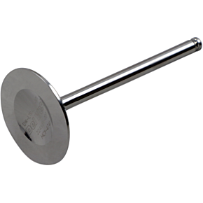Intake Valve DW-LTR4501IV11