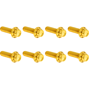 Bolt Kit - Trap Door - Titanium - 12-Point - M8 - Gold 300-711