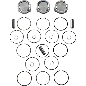 Piston Kit 345192