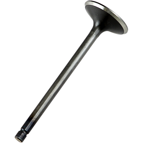 Exhaust Valve 28.2706-1