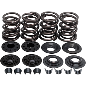 Valve Spring Kit - XL 20-2210