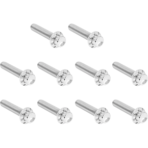 Bolt Kit - Cam Cover/Point Cover - Titanium - 12-Point - Polished 300-986