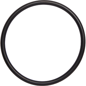 Exhaust O-Rings 014892