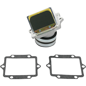 Rad Valve Reed Cage Assembly - Kawasaki RAD11E