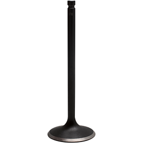 Intake Valve - Polaris 500 - Standard 82-82052