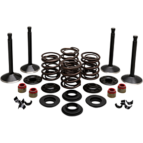 Engine Kit - Panhead 20-22150
