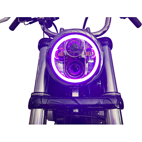 Custom Dynamics 5.75" Headlamp - with Mounting Ring - Black PG-575-B