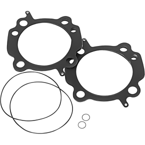 Gasket Kit - 113" - Twin Cam RP10085-030-HB