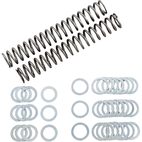 Race Tech Fork Springs - 1.10 kg/mm