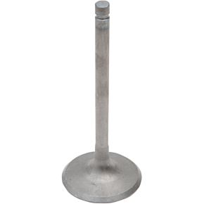 Intake Valve GG-4049-IN