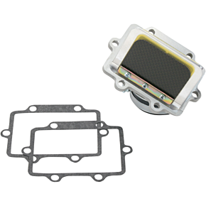 Rad Valve Reed Cage Assembly - Suzuki RAD24H