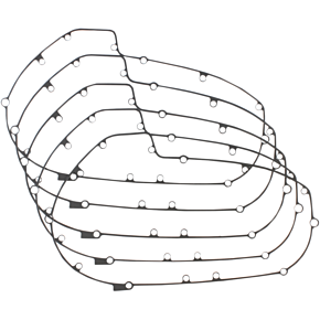 Primary Gasket C10145F5
