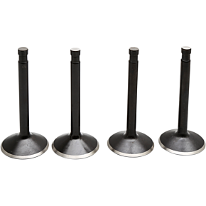 Valve Kit - Panhead 20-22100