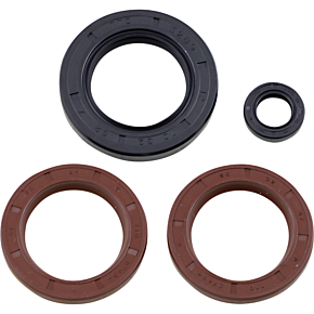 Oil Seal Kit - 900 Ace 622206