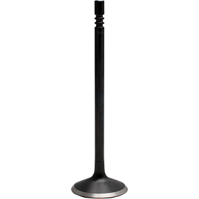Intake Valve 82-82312