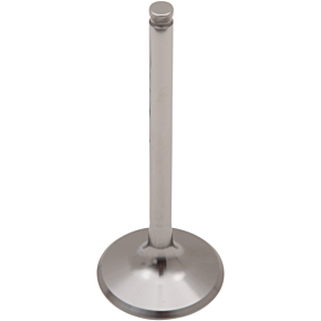 Exhaust Valve DWLTR4502EV11HF