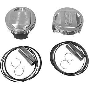 Piston Kit RP301-104W