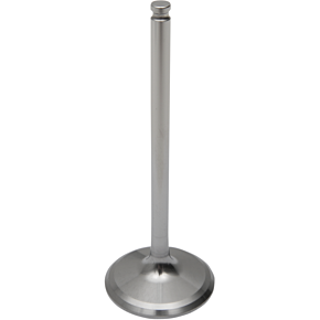 Intake Valve DW-YZ250F-IV14