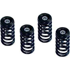 Clutch Springs 519-25-06095