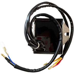 Ricks Motorsport Electric Hot Shot Regulator - Rectifier - Ducati 10-001H