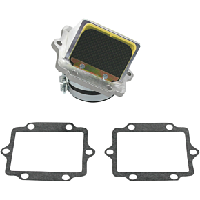 Rad Valve Reed Cage Assembly - Kawasaki RAD11F