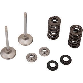 Moose Racing Valve and Spring Kit